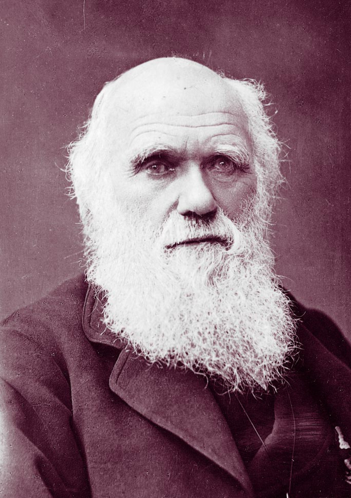 Charles Darwin photographed by Herbert Rose Barraud in 1881