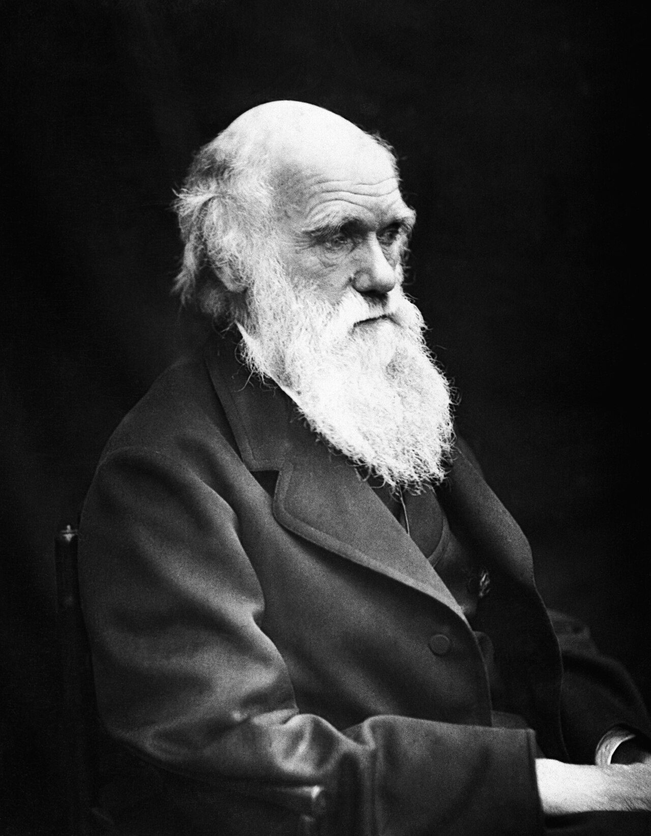 Charles Darwin historical portrait