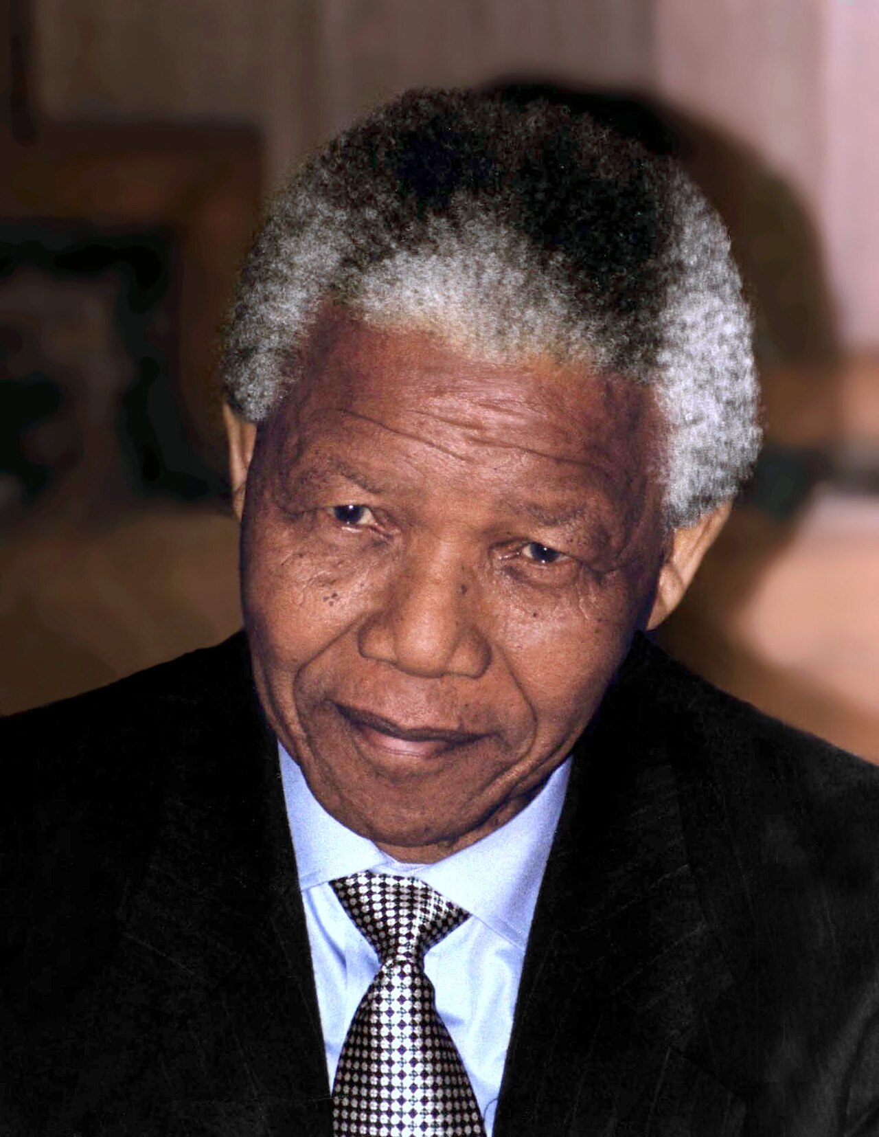Nelson Mandela historical portrait