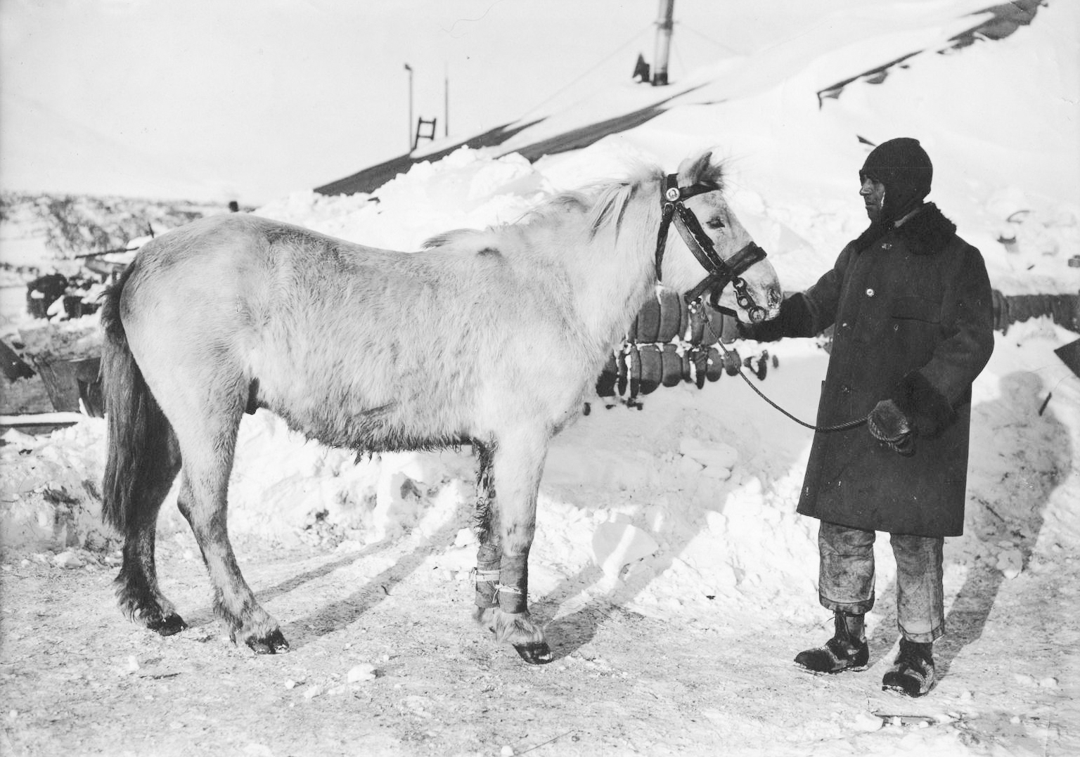 Lawrence Oates historical photograph